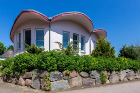 Muschel 3 in Ahrenshoop